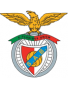 https://img.sdsjjyzx.com/img/football/team/13d8d22b32e0803f939082416da63541.png