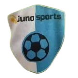 https://img.sdsjjyzx.com/img/football/team/b555536cd048d3993ad4aa7e1418b2f0.png